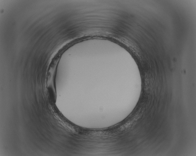 X0000073450880200608251703