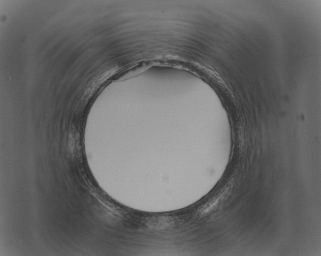 X0000073450881200608251703