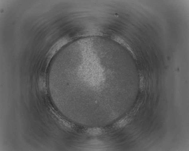 X0000073450882200608251703