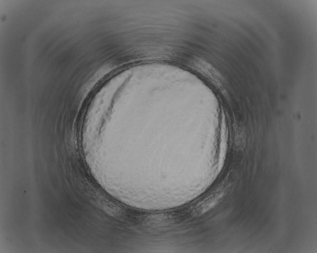 X0000073450883200608251703