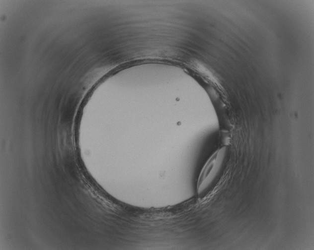 X0000073450884200608251703