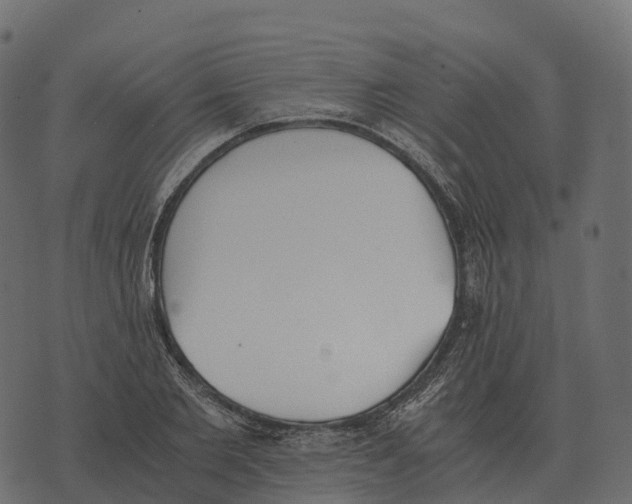 X0000073450885200608251703