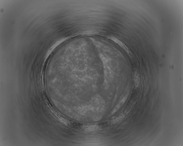 X0000073450886200608251703