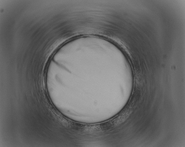 X0000073450887200608251703