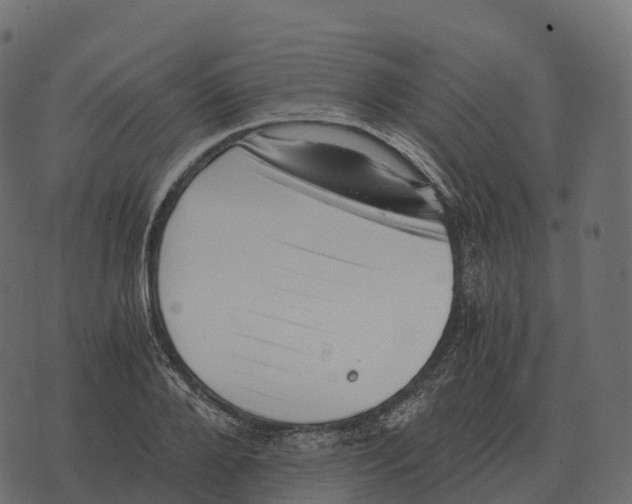 X0000073450888200608251703