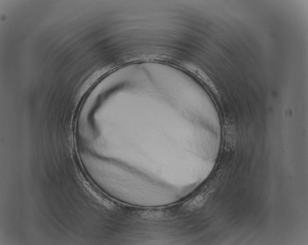 X0000073450890200608251703