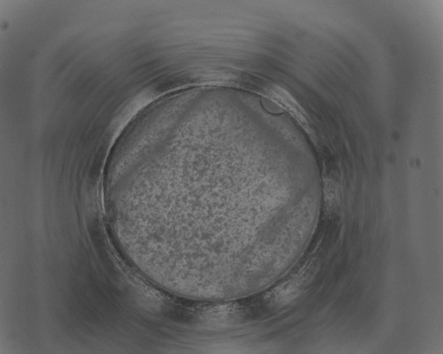 X0000073450891200608251703