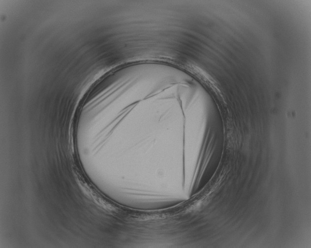 X0000073450892200608251703