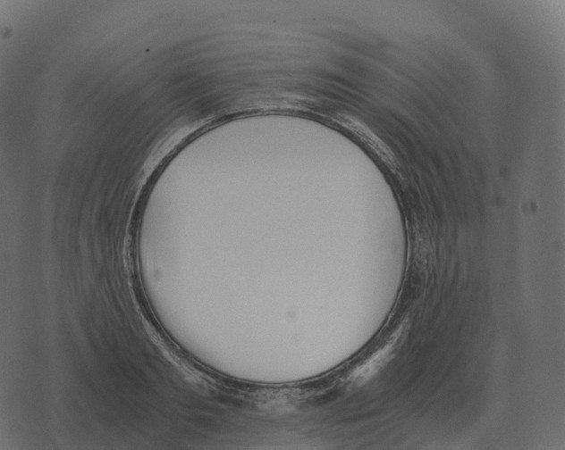 X0000073450893200608251703