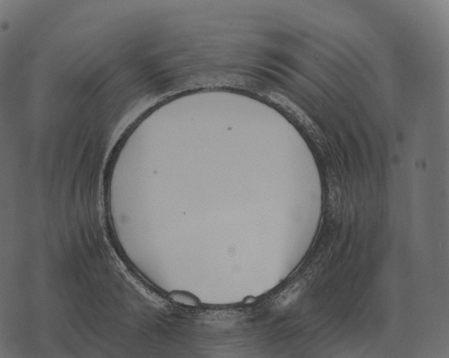 X0000073450894200608251703