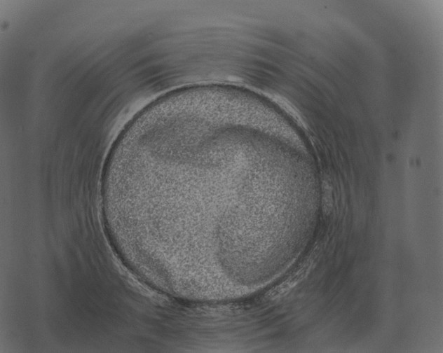 X0000073450895200608251703