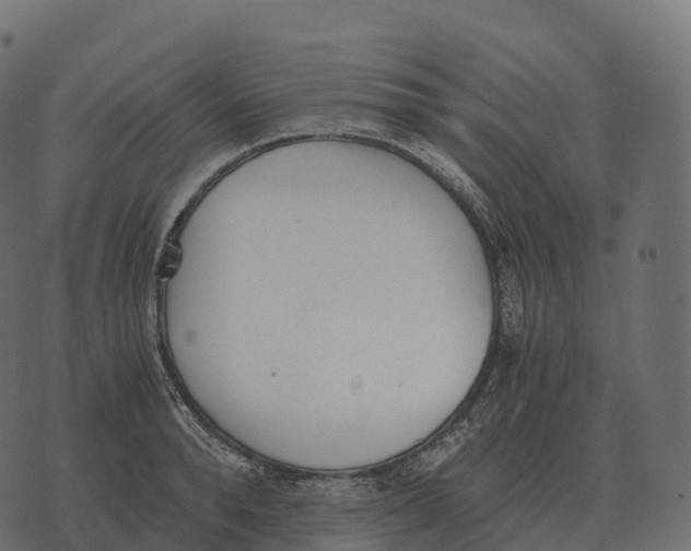 X0000073450896200608251703