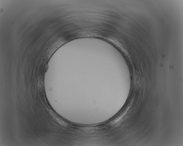 X0000073450897200608251703