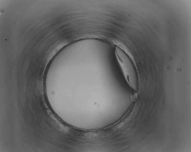 X0000073450898200608251703