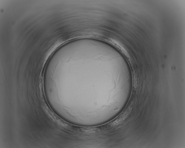 X0000073450899200608251703