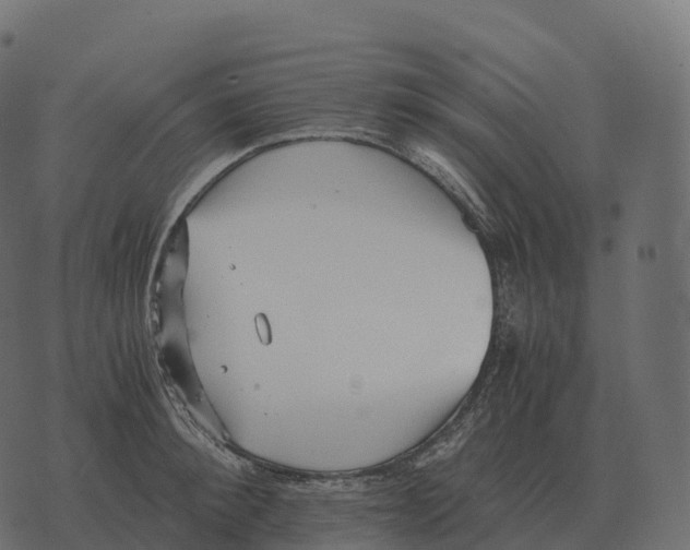 X0000073450900200608251703