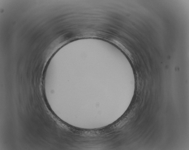 X0000073450901200608251703