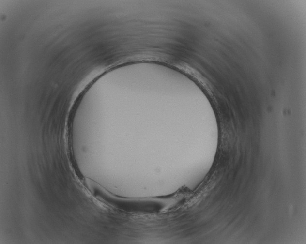 X0000073450902200608251703