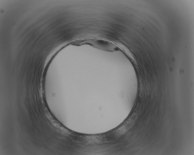 X0000073450904200608251703