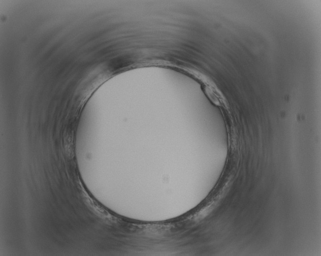 X0000073450905200608251703