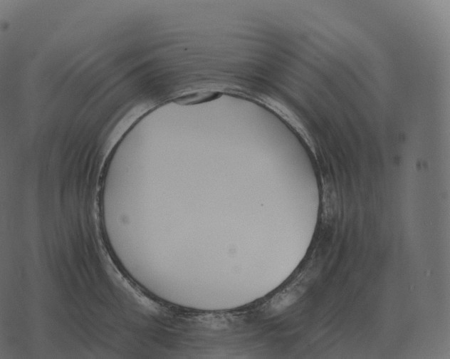 X0000073450906200608251703