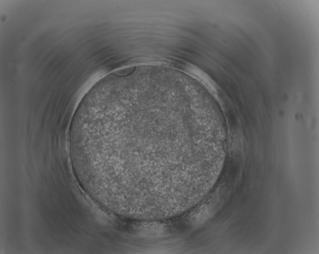 X0000073450907200608251703