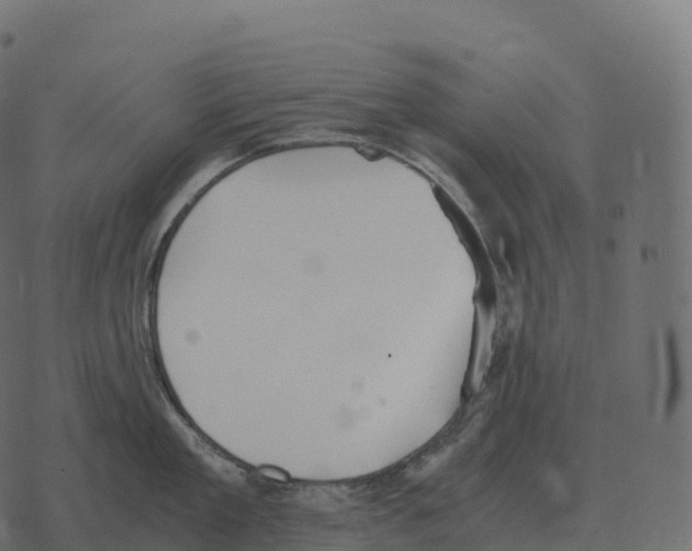 X0000073450909200608251703