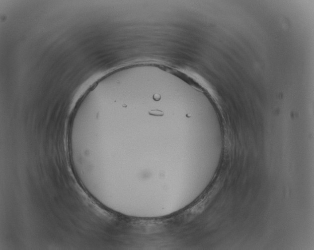 X0000073450910200608251703