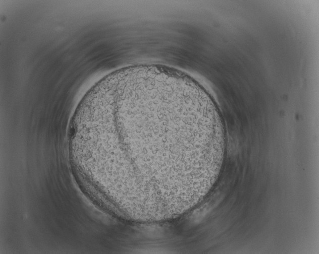 X0000073450911200608251703