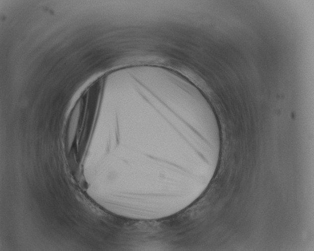 X0000073450912200608251703