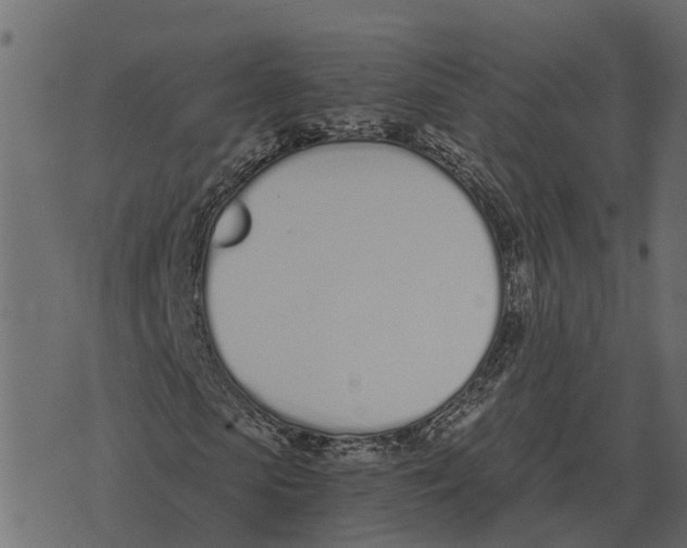 X0000073450913200608251702