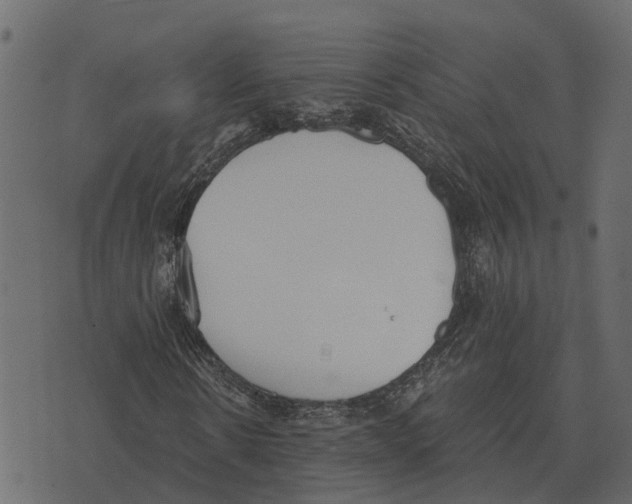 X0000073450914200608251702