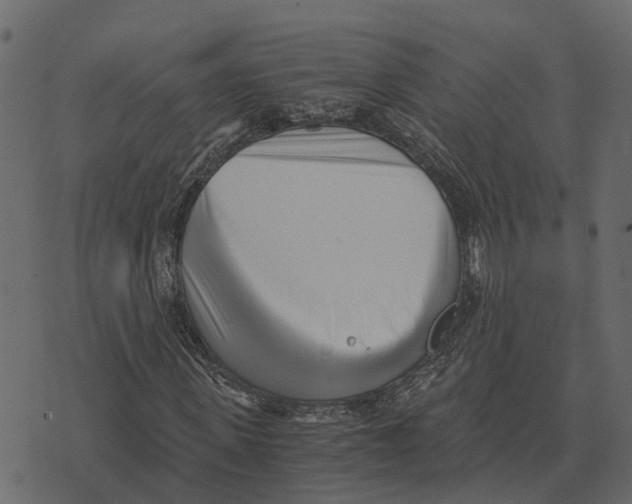 X0000073450915200608251702