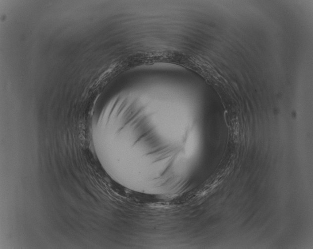 X0000073450916200608251702