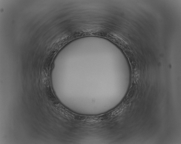 X0000073450917200608251702