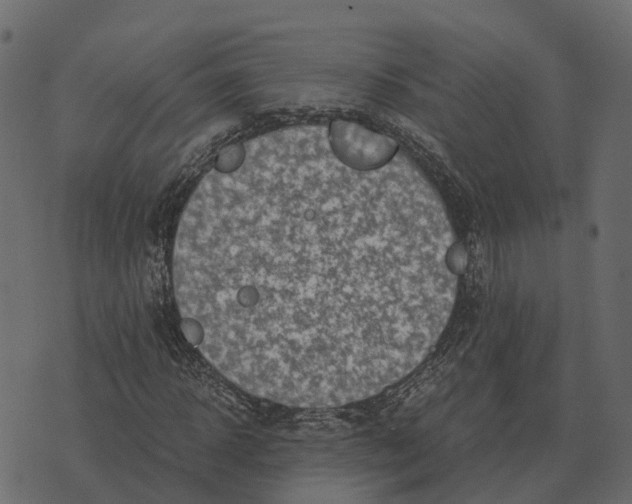 X0000073450918200608251702