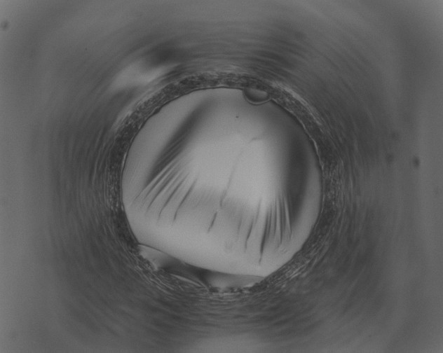 X0000073450919200608251702