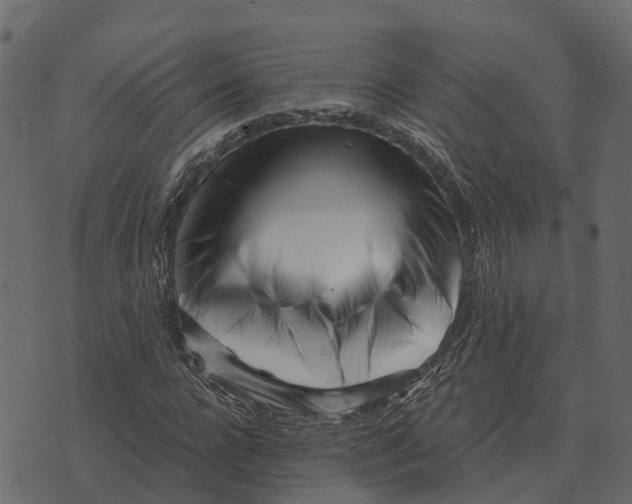 X0000073450920200608251702