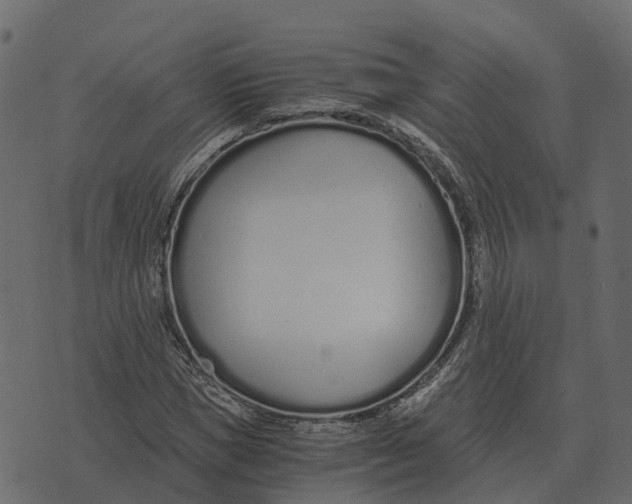 X0000073450921200608251702