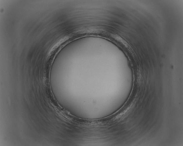 X0000073450922200608251702