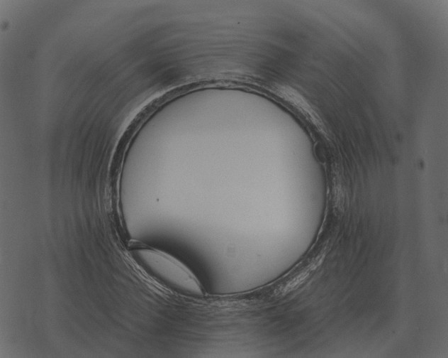 X0000073450924200608251702