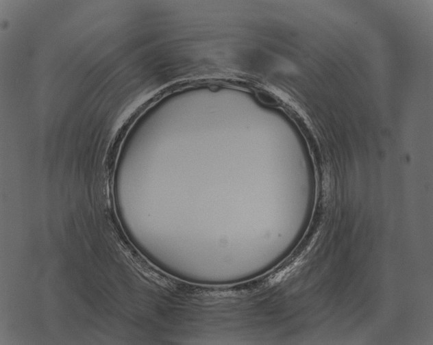 X0000073450925200608251702