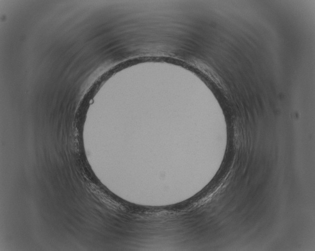 X0000073450926200608251702