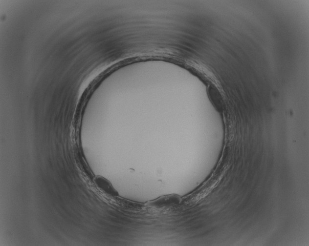 X0000073450928200608251702