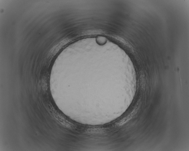 X0000073450929200608251702