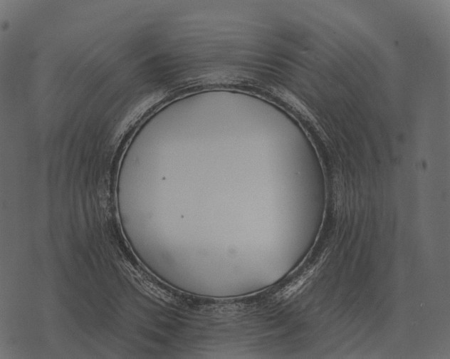 X0000073450930200608251702