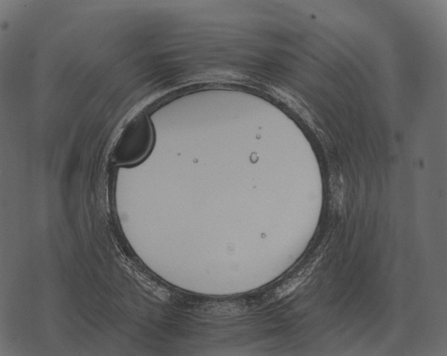 X0000073450931200608251702