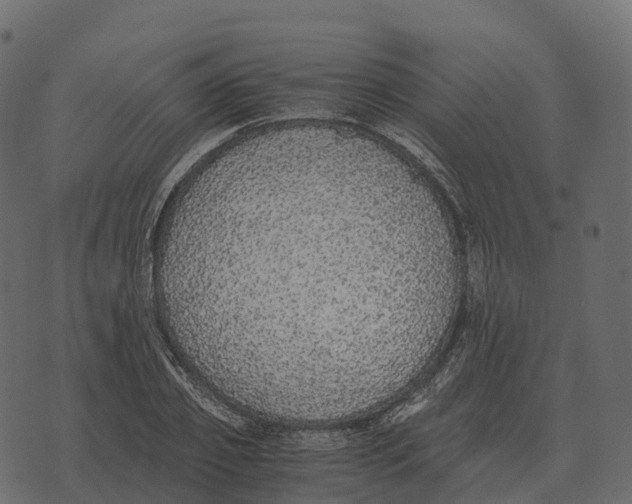 X0000073450933200608251702