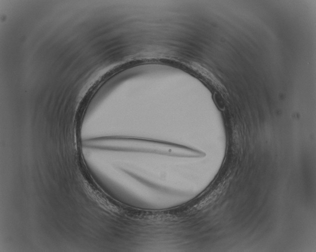 X0000073450934200608251702