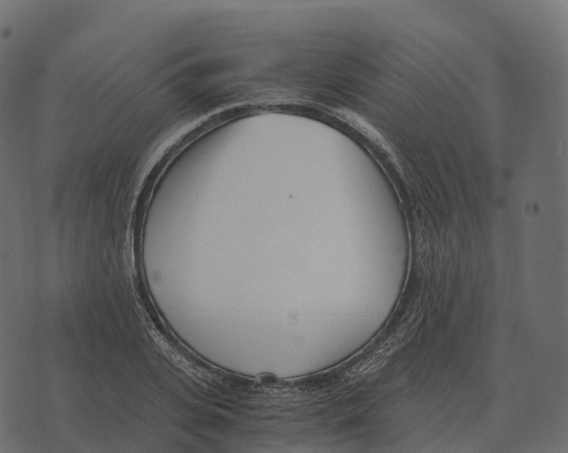 X0000073450935200608251702